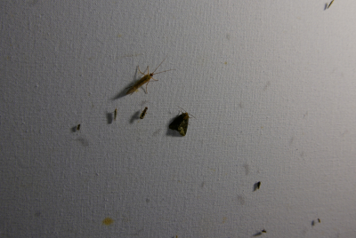 04_MO_P1020934